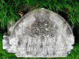 image of grave number 87857